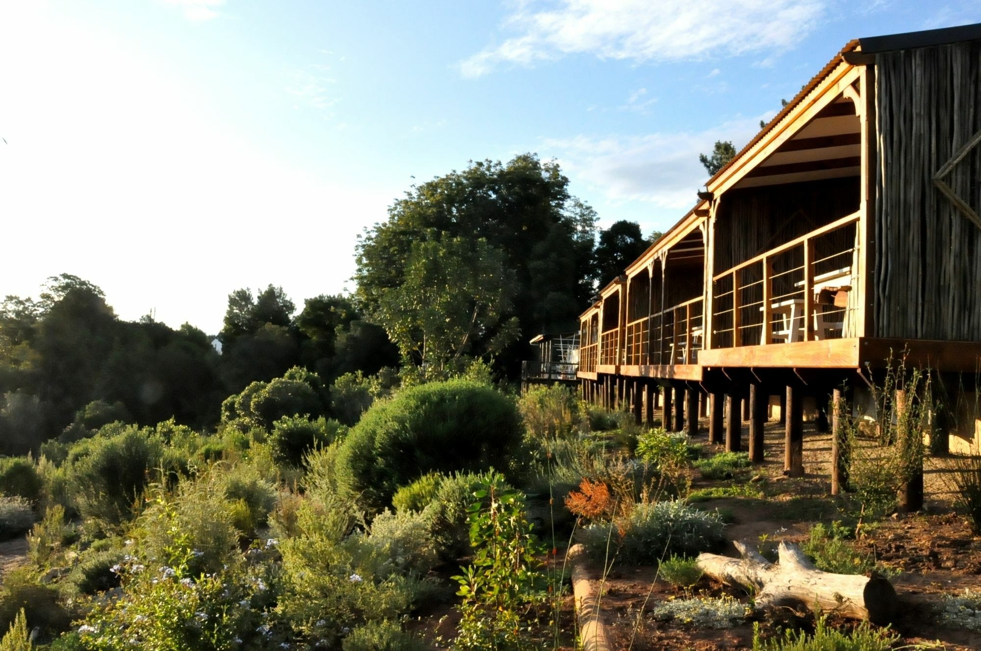 Woodlands Self Catering Hotel Knysna Exterior foto