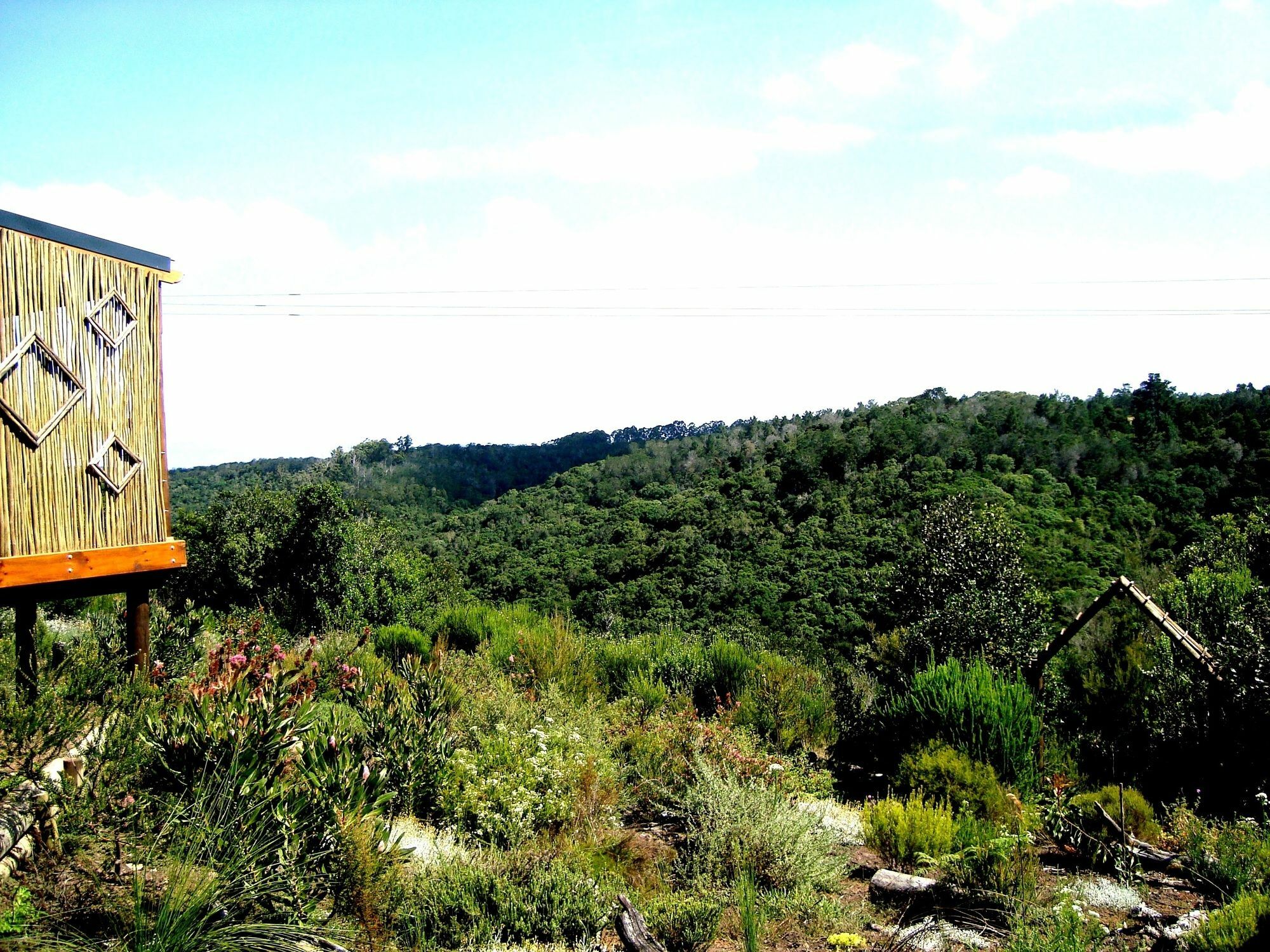 Woodlands Self Catering Hotel Knysna Exterior foto